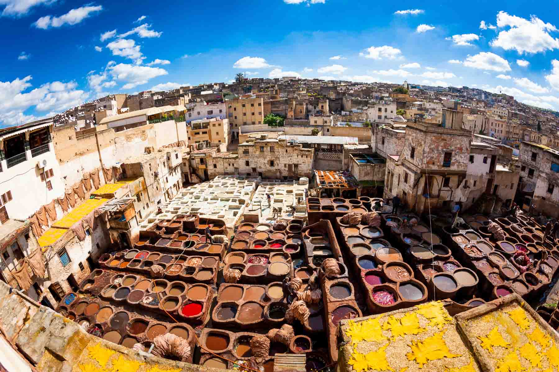 fes
